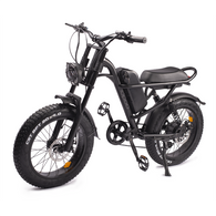 20 inch 48V 15.6A 500W Fat Tire Adults Electric Bike